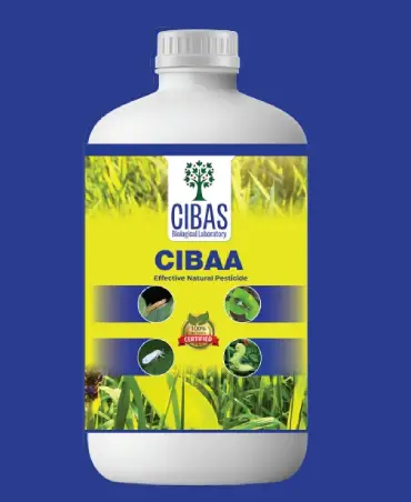Cibaa