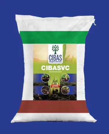 Cibasvc