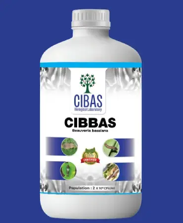 CIBBAS Product