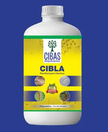CIBLA Product