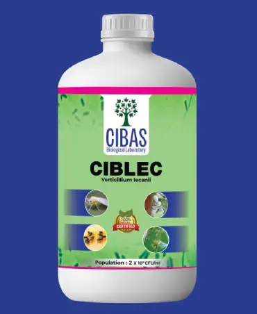 CIBLEC Product