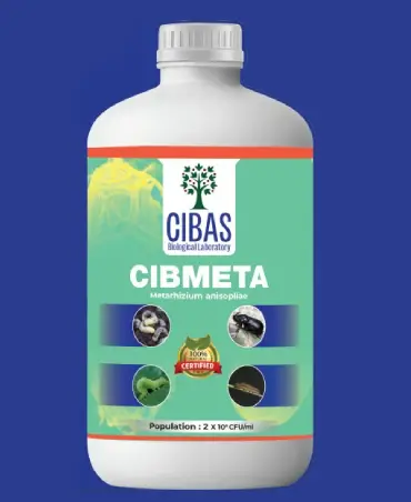 Cibmeta