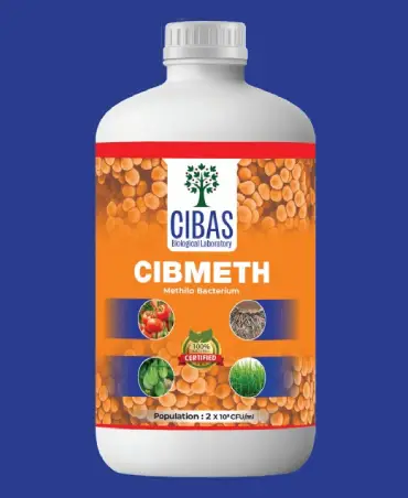 Cibmeth