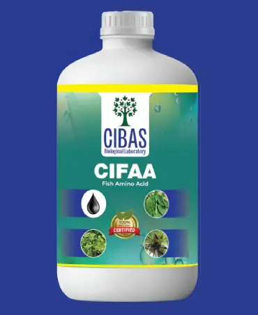 Cifaa