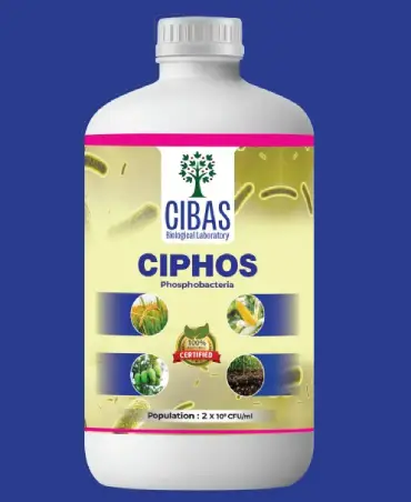 CIPHOS Product