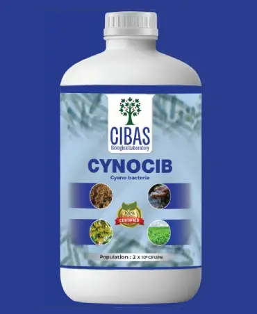 Cynocib
