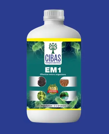EM-1
