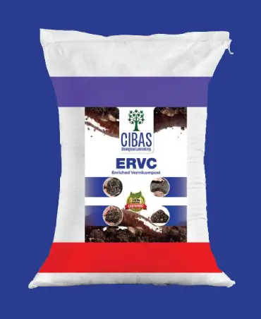 Cibas ERVC