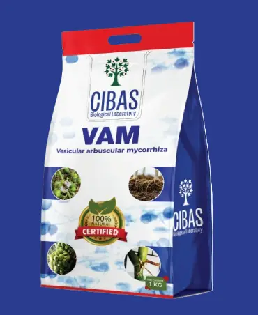 VAM Product